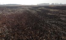 Нено Димов проверява Шабленското езеро по нареждане на Борисов