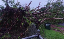 Извънредно положение в Австралия заради циклона Тревър