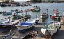За няколко години от Черно море са изчезнали десетки видове риби