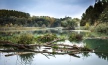 РИОСВ – Монтана проверява сигнал за замърсяване на водите на р. Дунав