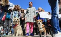 Граждани излязоха на протест с кучета и котки, искат ефективни присъди за агресия срещу животни