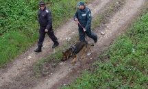 Словения слага нова ограда по границата си с Хърватия