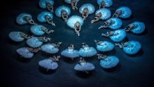 Красив кадър на чешкия национален балет, изпълняващ балетната постановка „Лебедово езеро“