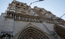 Пчелите, обитаващи опожарената "Нотр Дам", са оцелели