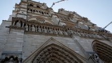Пчелите, обитаващи опожарената "Нотр Дам", са оцелели