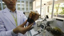 Университета в Рангсит, Тайланд отвори модерна лаборатория за изследване на въздействието на медикаменти с конопена основа и качеството на медицинското лечение с тези лекарства.