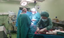 Български лекари ще се обучават на белодробни трансплантации във Виена