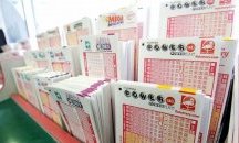 Котка едва не лиши стопанката си от печалба от лотарията