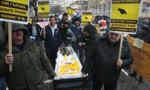 В Плевен протестиращи пчелари поискаха криминализиране отравянето на пчелите