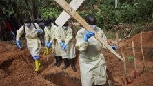Броят на жертвите от последната епидемия от Ебола, която започна през август 2018 г., се е повишила до над 1000, според Министерството на здравеопазването на страната. Министерството заяви в последната си актуализация от 03 май, че от август 2018 г. има 1 008 смъртни случая от 1 433 потвърдени случая в Конго.