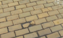 Как жълти павета се появиха в двора на столична ясла?