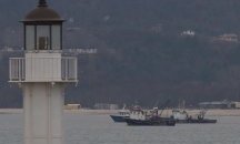 Квотата ни за улов на калкан в Черно море е увеличена с 32%