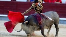 Бик боецът Октавио Чакон се бие с бик по време на 16-ия ден от изложението на бикобоите Сан Исидро в арената за бикове в Лас Вентас в Мадрид, Испания.