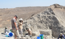 Каменните сечива - изобретени от няколко популации хоминиди на различни места по света