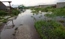 Река Студена е преляла, стотици декари в Караманово са под вода