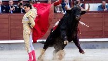 Испанският тореадор Алберто Лопес Саймън се бори с бик по време на San Isidro в арената за борба с бикове в Лас Вентас в Мадрид, Испания.