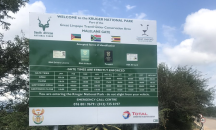 Издирват най-малко 14 лъва, избягали от национален парк в Южна Африка