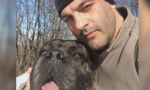 Оставиха в ареста собственика на кучетата-убийци от Владо Тричков