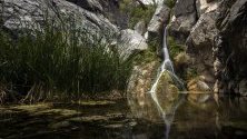 Гледка към водопадите Дарвин, създали оазис на живота и различна екосистема в Долината на смъртта, близо до Пека Крийк, Калифорния, САЩ. 