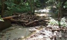 ДА „ДРВВЗ“ осигурява минерална вода, сухи супи и консерви в помощ на засегнатите райони в Стрелча