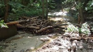 ДА „ДРВВЗ“ осигурява минерална вода, сухи супи и консерви в помощ на засегнатите райони в Стрелча