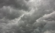 Ураганен вятър събори три дървета във Варна