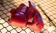 Започва пълна ревизия на всички лицензирани боксьори в България