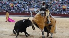 Тореадор яздещ кон в битка с бик на панаир Сан Исидро в Лас Вента,  Мадрид.