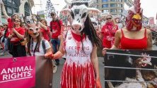 Протестиращите участват в шествие, против клането на животни в  Брюксел, Белгия. 