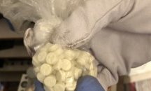 Откриха модерна оранжерия за марихуана в София