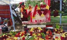 Празник на черешата за 12 път в Кюстендил