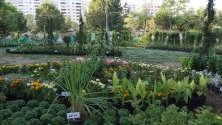 Гледка по време на церемонията по откриването на шоуто с цветя в парк Tishreen в Дамаск, Сирия.
