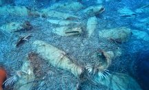 Откриха потънал римски кораб край Кипър