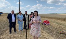 Ожънати са 22% от засетите площи с пшеница в страната