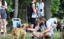 Рекорд на Гинес събра за снимка 368 кучета