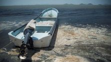 Изглед на замърсената вода в Оахака, Мексико. Около 35 хиляди хектара лагуна са замърсени с черни води, които преминават през каналите на Джукитан и причиняват смърт на рибите.