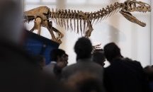 Палеонтолози от БАН обясняват в дискусия как динозаври са обитавали нашите земи