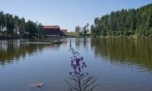 Русенец влезе в Рекордите на Гинес за плуване с една ръка