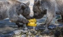 Снимки на уикенда 27 и 28 Юли 2019