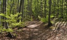 Спортен празник ще се проведе на Витоша