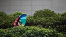 Жена се разхожда с чадър  в дъждовно време в Хонконг, Китай.