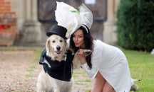 Бивш модел се омъжи за кучето си 