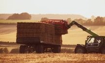 Мъж е с опасност за живота, след като падна от камион, натоварен с бали