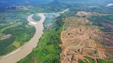 Снимка, направена с дрон, показва райони от гори, които са били разчистени за плантации с маслени палми Ачех, Индонезия. Индонезия е най-големият в света производител на палмово масло.