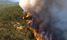 Площта на горските пожари в Сибир надхвърля 1,5 милиона хектара