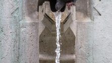 Гълъб пие вода от чешма на площад  в Будапеща, Унгария.