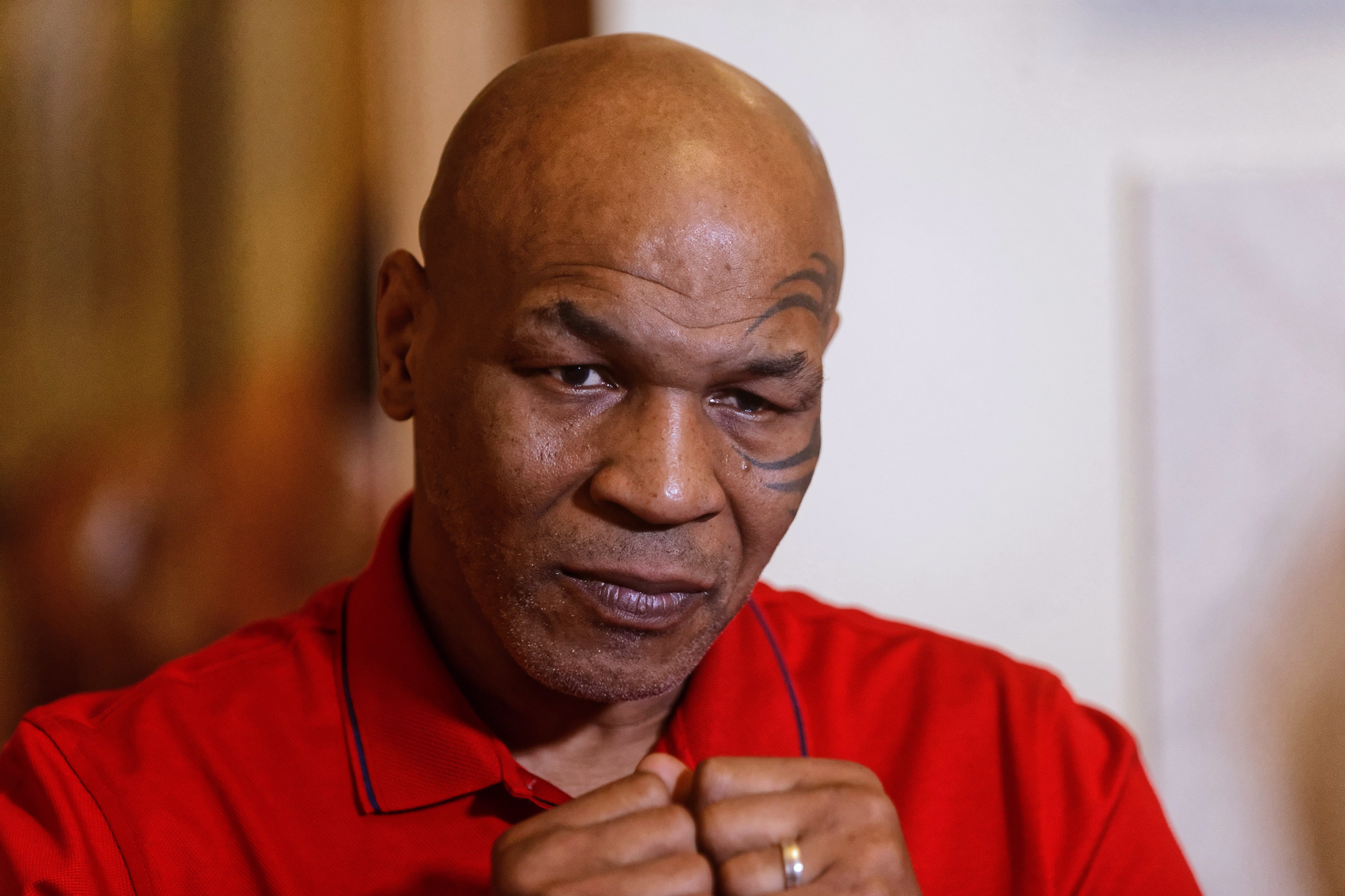 Тайсон возраст. Тайсон. Mike Tyson. Майк Тайсон сейчас. Mike Tyson 2022.