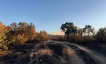 Голям пожар гори в местност до хасковско село