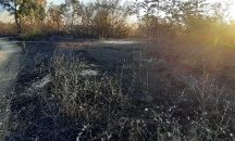 Потушен е пожарът край село Реброво