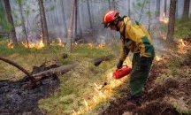 Извънредно положение около Канбера заради пожари